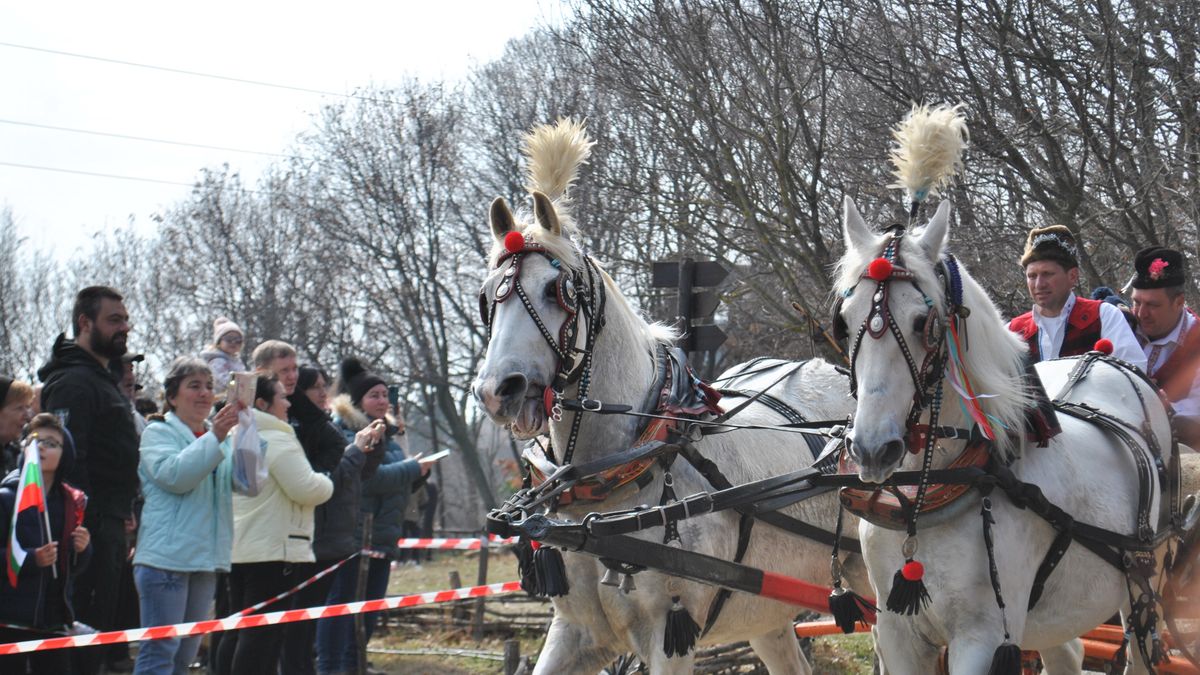 Basic Carriage Maintenance Checks for New Owners