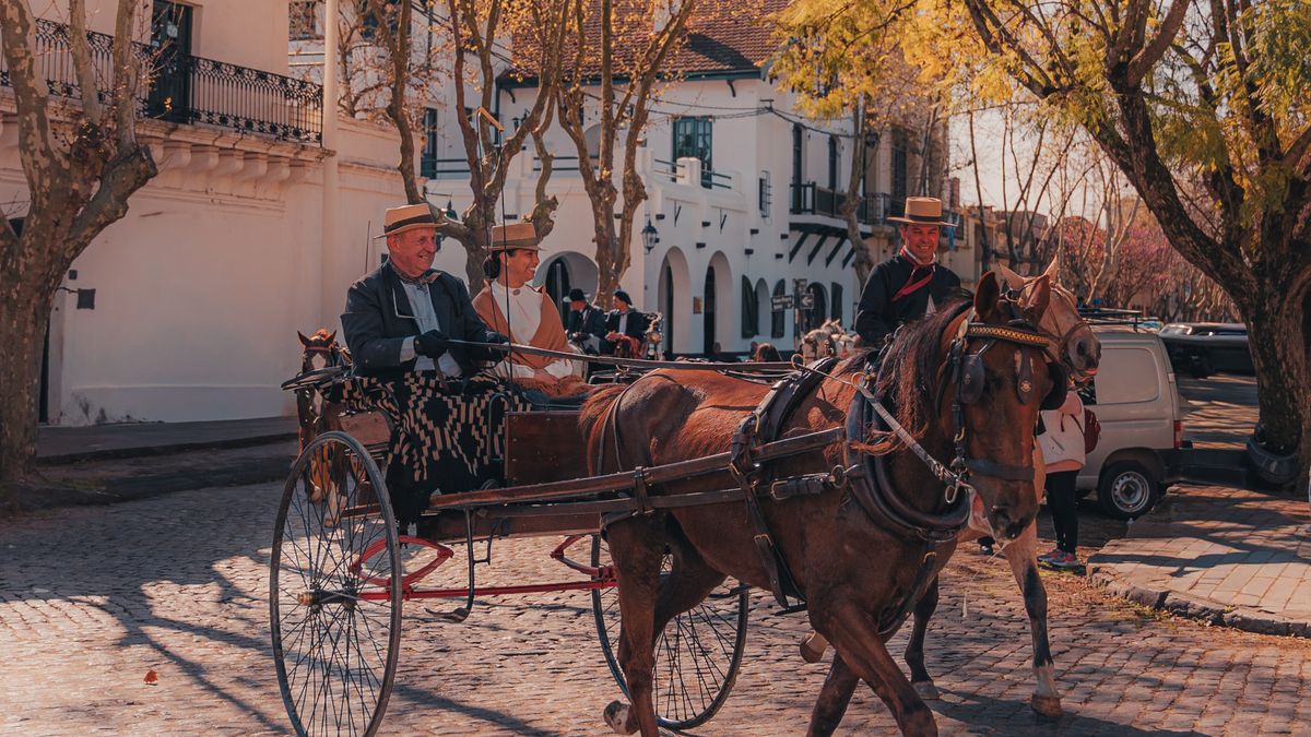 Essential Safety Checks Before Every Carriage Outing