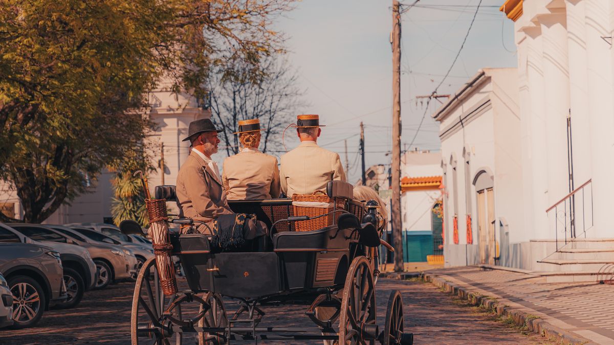 How to Prepare a Horse for Its First Carriage Drive