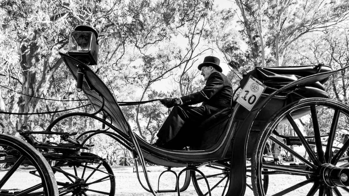Understanding Road Rights and Responsibilities for Carriage Drivers